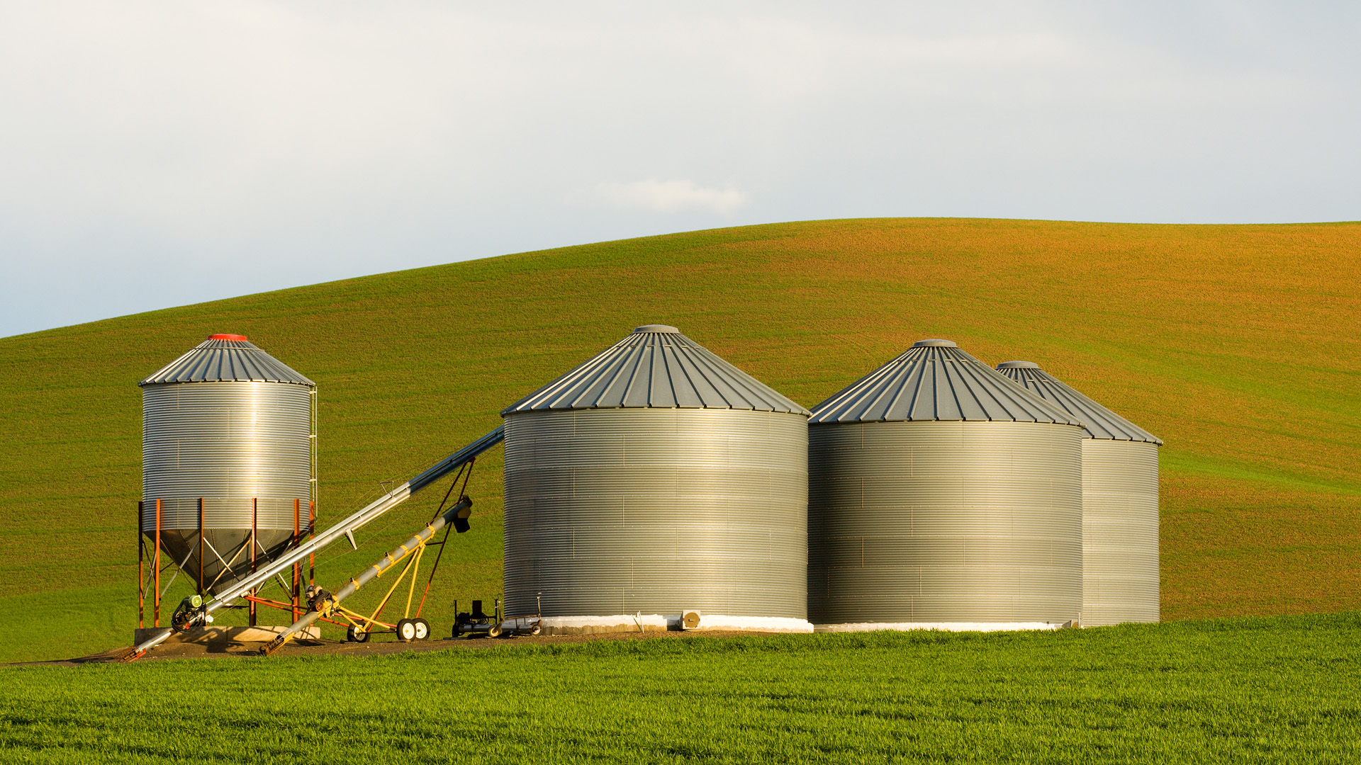 Central Valley Ag