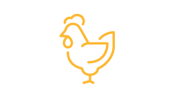 poultry