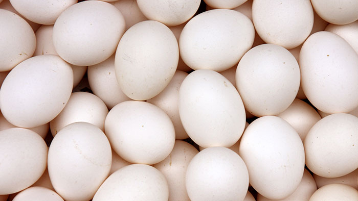 Eggs