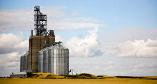 Grain bin